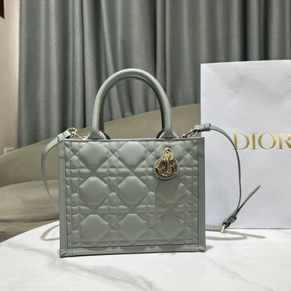 Christian Dior Shopping Bags - Click Image to Close